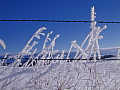 Winter Fence Line near Glacier National Park