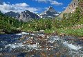 Photo of Mountain Summer in Glacier National Park